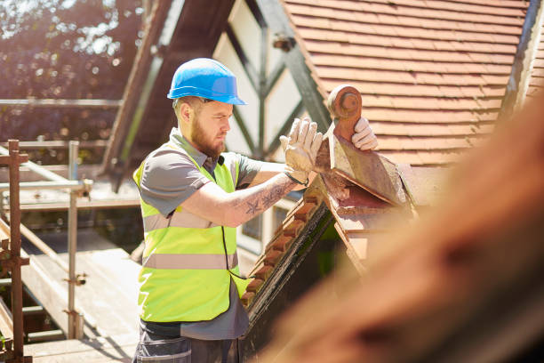 Best Metal Roofing Contractor  in Logan, IA